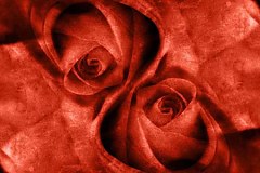 Ruže Fototapety 4400 - vinylová